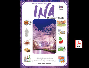 INA Discovery Guide