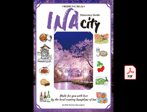 INA Discovery Guide