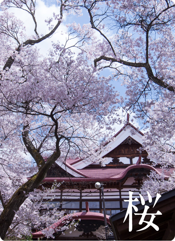 日本一の桜の里
